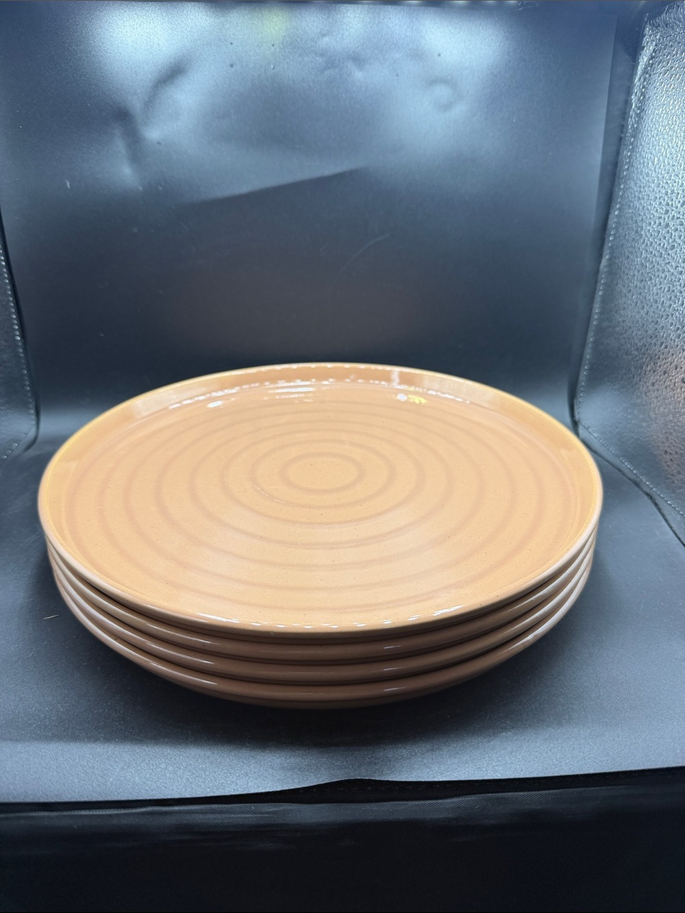 Stoneware Dinner Plates in Warm Tan - Set of 4 Hearth & Hand